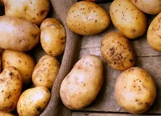 Україна суттєво збільшила імпорт картоплі