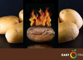 В Україні зросли ціни на картоплю минулорічного врожаю через дефіцит