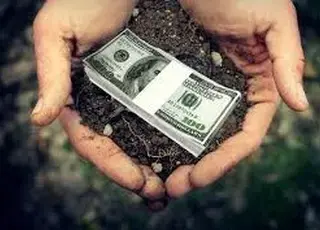 Орендна плата за паї у 2026 році зросла: як фермеру розрахуватися з пайовиками до збору врожаю