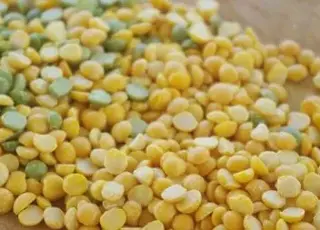 Україна встановила рекорд у виробництві гороху: зростання обсягів та експорту