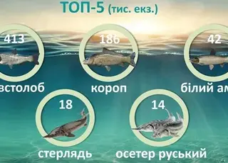 В Україні за п’ять місяців у водойми випустили понад 680 тисяч мальків риби