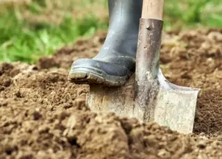 Чи потрібно перекопувати город восени: поради для різних типів ґрунтів