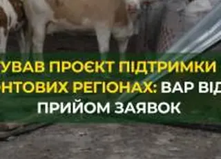 Стартував проєкт підтримки молочно-товарних ферм у прифронтових регіонах: ВАР відкриває прийом заявок