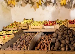 Як правильно зберігати картоплю, моркву та капусту у хорошому стані всю зиму