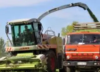 Зростання сільгоспвиробництва в Україні за результатами 4 міс.- 2026 прискорилося до 1,7% – Держстат