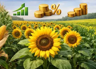 Які культури принесли найбільшу рентабельність цього сезону