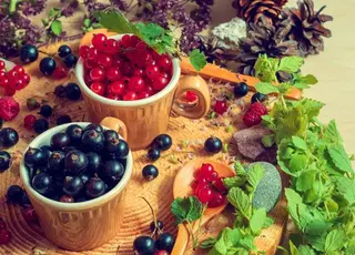 В Україні з’явився новий каталог виробників органічних ягід, орієнтованих на експортні ринки