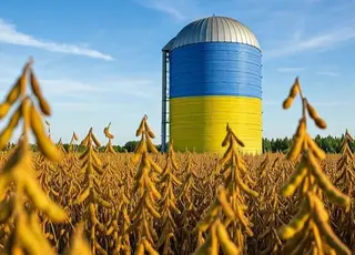 Україна не ввела експортне мито на сою та ріпак: бюджет втратив 7,3 млрд грн