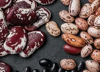 Коли сіяти квасолю у 2026 році, щоб отримати щедрий урожай