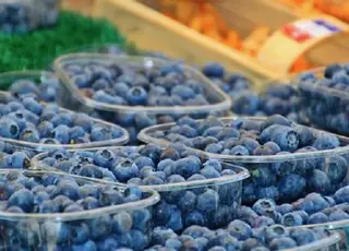 Ціни на лохину в Україні знизилися на 25% через збільшення пропозиції