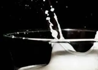 Вершкове масло та сухе молоко подорожчали за результатами торгів GDT