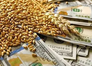 Вартість української пшениці та сої коливається на тлі змін попиту і пропозиції