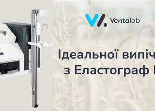 Математика ідеальної випічки: як Еластограф E1 перетворює «поведінку» тіста на прогнозований прибуток