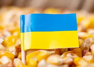 Імпорт агропродукції в Україну зріс на 13% і досяг історичного максимуму