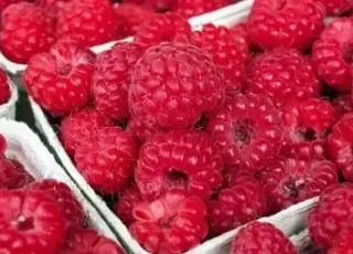 Польські фермери вимагають підтримки через рекордне падіння цін на малину у 2025 році