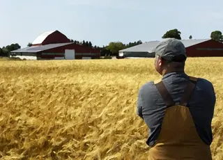 Фермер, який служить у війську, виграв суд у податківців на Волині