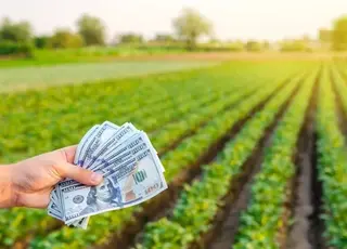 Гранти не є доходом ФОП: бухгалтери пояснили, як правильно їх обліковувати