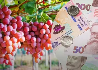 В Україні ціни на виноград визначає Молдова та Туреччина