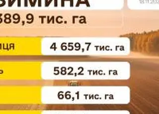 Станом на 18 листопада українські аграрії засіяли 6 389,9 тис. га озимих культур