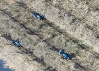 Австралійські горіхові ферми впроваджують автономні трактори з ШІ