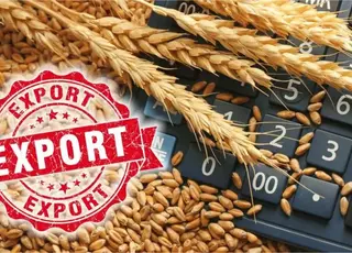 У червні Україна скоротила експорт агропродукції майже на 24%