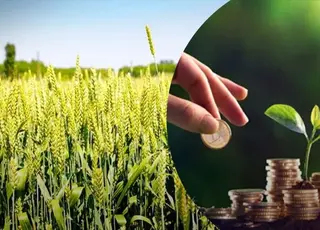 Частина українців може не платити земельний податок у 2026 р