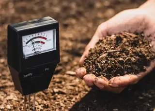 Городники рекомендують у листопаді перевіряти грунт на кислотність