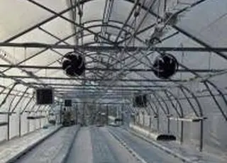 На Київщині збудували теплицю за японською технологією