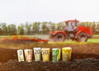 Фермери Миколаївщини зможуть отримати підтримку на 14 млн грн