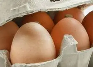 У січні Україна експортувала яєць на майже $21 млн: які країни стали основними покупцями