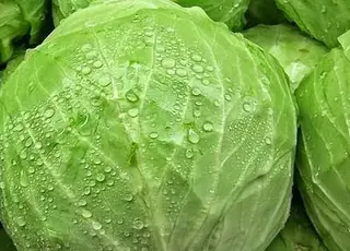 Ціни на білокачанну капусту в Україні впали через надлишок продукції