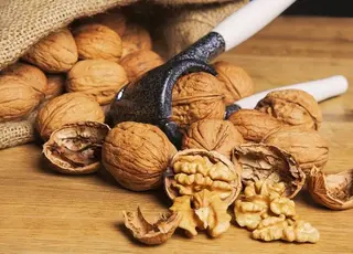 Фермери з Одещини створили горіховий сад на 105 га і готуються до світового ринку