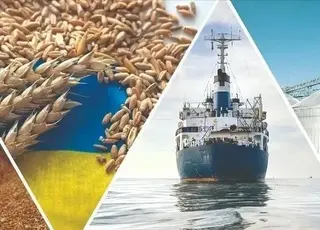 Стабільні експортні коридори підтримують зерновий експорт України