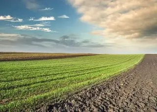 На Дніпропетровщині фермери роками незаконно обробляли землі танкового полігону