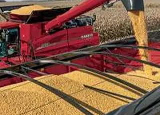 Виробництво сільгосппродукції в Україні в 2025 році скоротилося на 6,8%