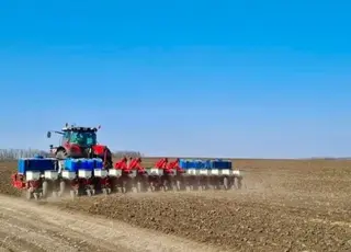 В Україні засіяно майже половину прогнозованих площ озимих культур у 2025 році