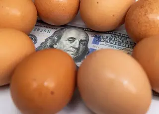 В Україні ціни на яйця можуть змінитися вже у січні