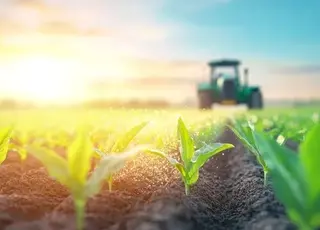 В Україні значну частину держпідтримки отримали великі агрохолдинги