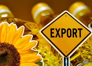 Україна зацікавлена у збільшенні експорту зерна та соняшникової олії до Єгипту