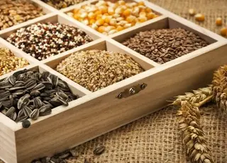 Як правильно зберігати насіння, щоб воно не зіпсувалося до посіву