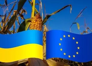 Україна має повернутися до лібералізації торгівлі кукурудзою з Європейським Союзом