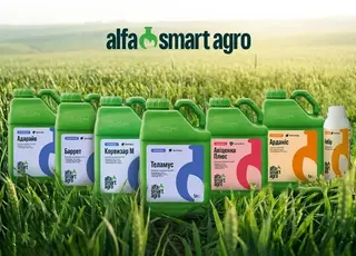 Комплексний контроль хвороб і шкідників зернових упродовж вегетації