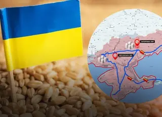 росія з початку війни привласнила на ТОТ близько 15 млн т українського зерна