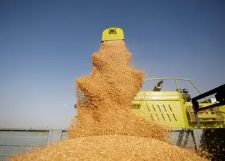CHS Inc. скорочує діяльність в Україні через війну та ринкові ризики