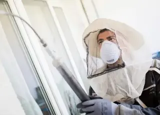 У США біля комплексу Savannah River Site виявили радіоактивне осине гніздо