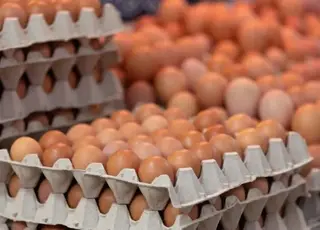 Стало відомо, як в Україні змінилися ціни на яйця