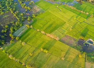 Стало відомо, скільки гектар землі можуть виділити учаснику бойових дій у грудні 2025 р