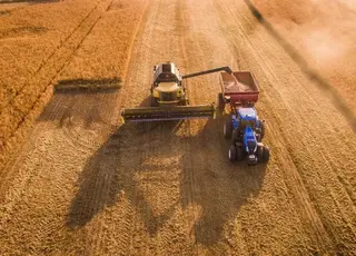 Українські аграрії завершили збір пшениці, ячменю і гороху
