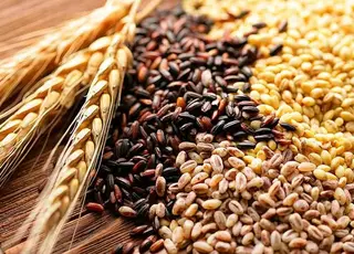 На українському агроринку у жовтні зернові дешевшають, а соняшник встановлює рекордне зростання