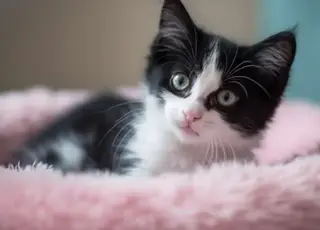 До 20 градусів різниці — синоптики попереджають про різку зміну погоди в Україні